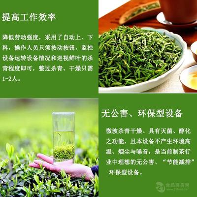 茶叶杀青设备与护色技术 微波杀青机的原理、优势与应用