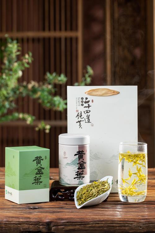聚焦农销会丨盘江沃土·康养黔西南——茶叶加工的绿色发展之路